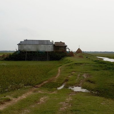 images